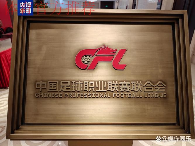 第十届中国足球协会第二次会员大会审议《中国足球协会章程》(修正案)